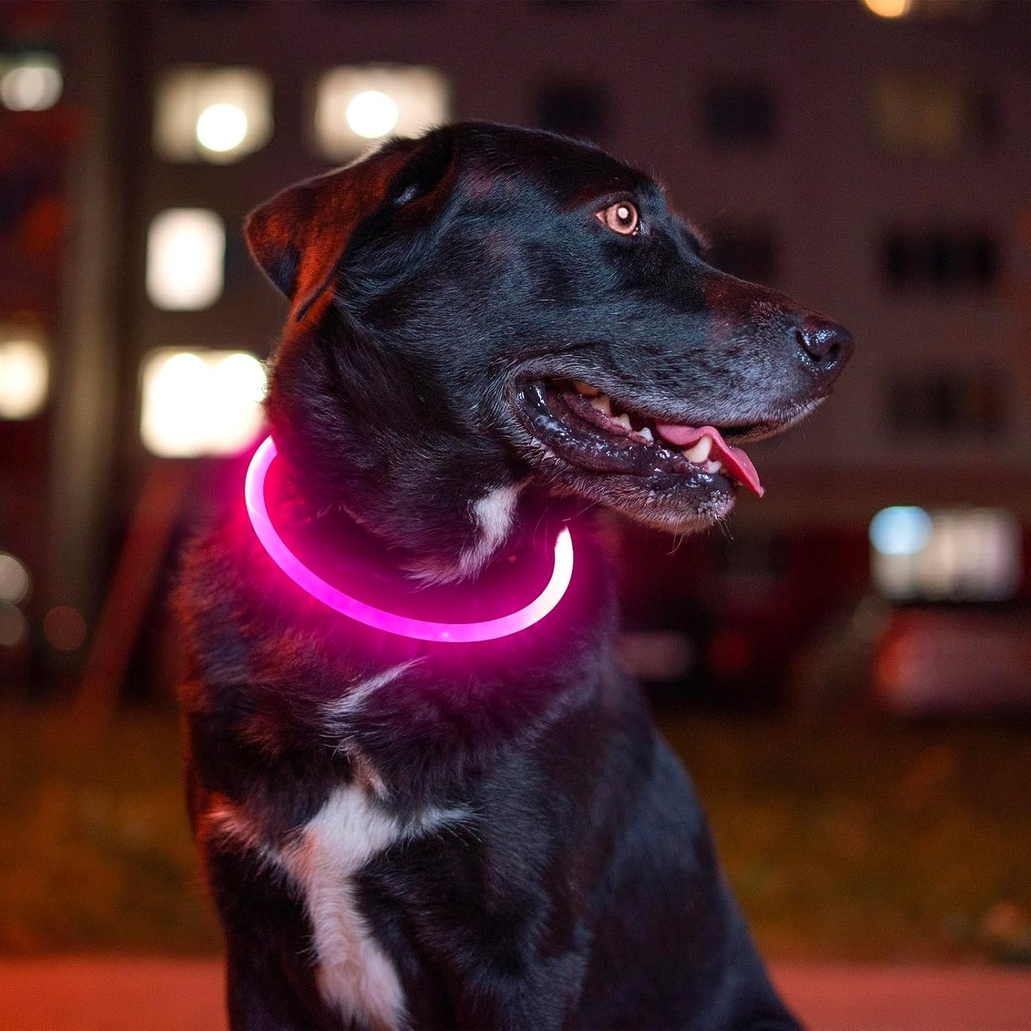 Led Dog Collar,  USB Rechargeable Flash Dog Necklace Light, Pet Safety Collar Makes Your Beloved Dogs Be Seen at Night for Small Medium Large Dogs(Pink)
